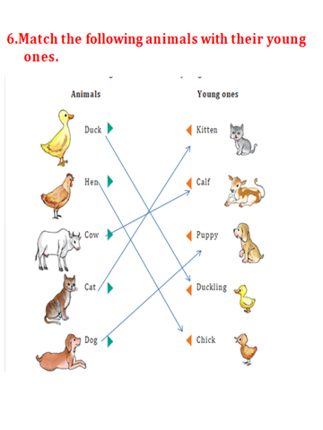 fun with friends solution